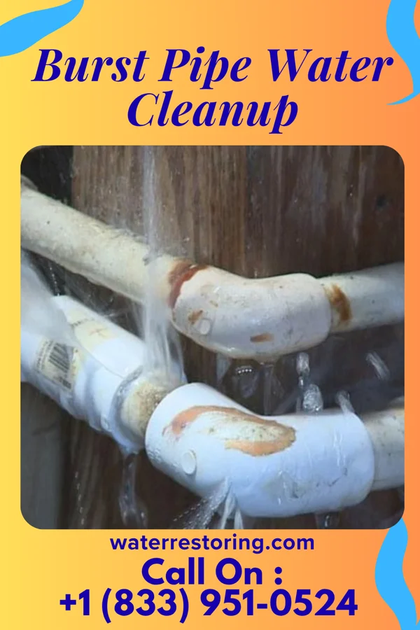 Burst Pipe Water Cleanup in Gerster, MO