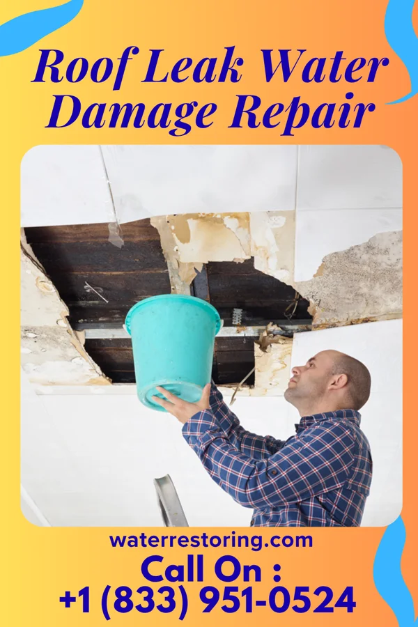 Roof Leak Water Damage Repair in Gerster, MO