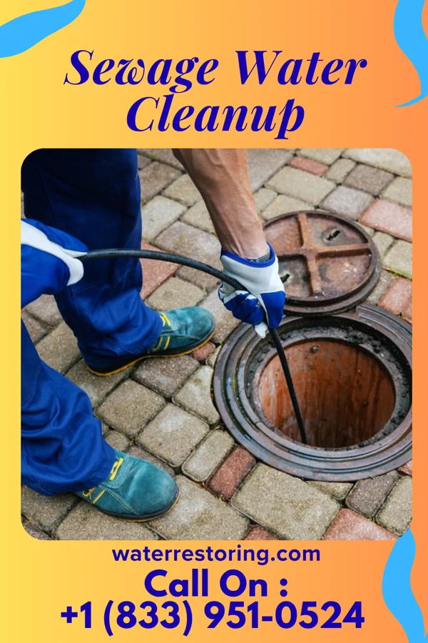 Sewage Water Cleanup in Gerster, MO